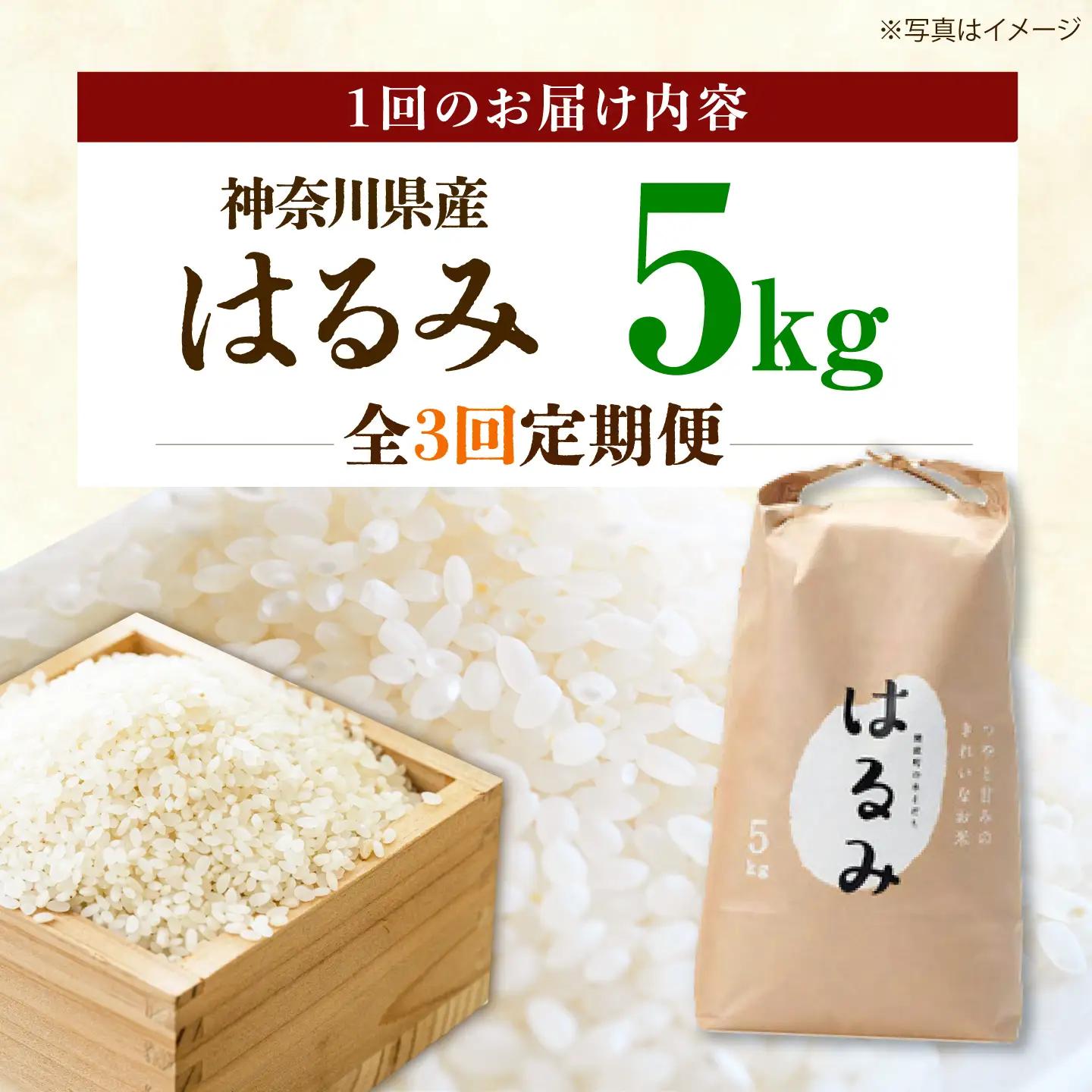 新米【全3回定期便】はるみ 5kg 令和8年産 米【遠藤ファーム】[BDAF006-3]
