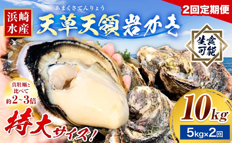 
            先行予約 牡蠣 カキ 天草天領 岩かき 特大 定期便 約 5kg 2回《2026年5月から出荷》海鮮 海産物 シーフード 魚貝類 かき 岩牡蠣 夏牡蠣 生食用 熊本県 苓北町 浜崎水産【配送不可地域あり】
          