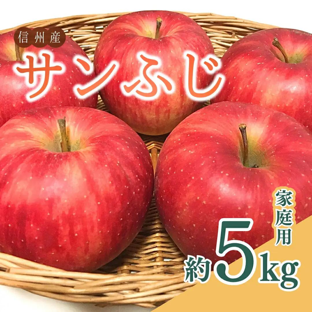 【2026年先行予約】ザ・王道 りんご サンふじ 家庭用 約5kg 訳あり |りんご