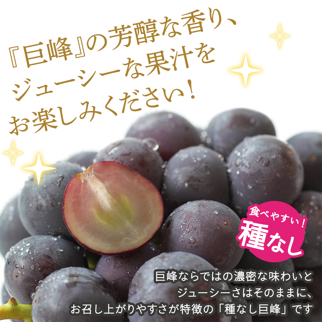 種なし 巨峰 約5kg(約8～12房)【2026年7月より発送開始】（茨城県共通返礼品 [ぶどう]：結城市産） ぶどう 種なし巨峰 フルーツ デザート 果物 食べやすい 旬 [FC113-NT]