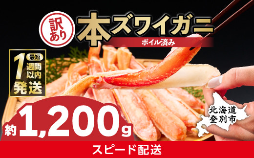
            かに 最短1週間以内発送 本ズワイガニ 訳あり 冷凍 ボイル 足 ハーフポーション 1200g | カニ 蟹 本ずわいがに ズワイガニ ずわいがに 不揃い 規格外 海産物 海鮮 かにしゃぶ かに鍋 ギフト ふるさと納税 北海道 登別市
          