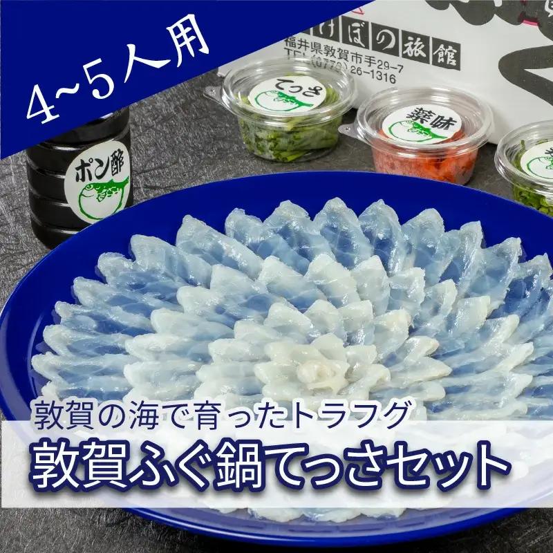 ＜先行予約＞【11月発送】フグ 敦賀ふぐ鍋てっさセット（4～5人用） 【冷蔵 ふぐ刺し 河豚 ふぐ 海鮮 鍋 なべ】