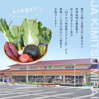 ふるさと納税 君津市 JAきみつ 旬の野菜詰合せ(6〜8種) |  | 01
