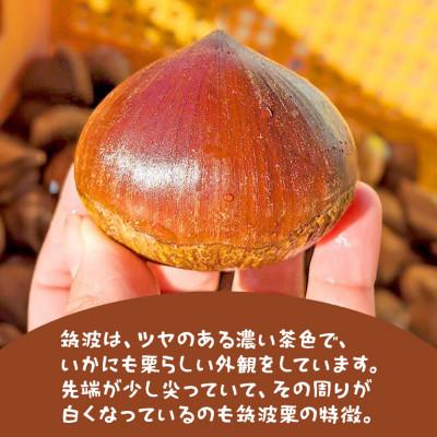 ふるさと納税 笠間市 【2026年秋　先行予約】笠間の栗・かねこ農園の生栗「筑波(つくば)」2kg(4L以上) |  | 01