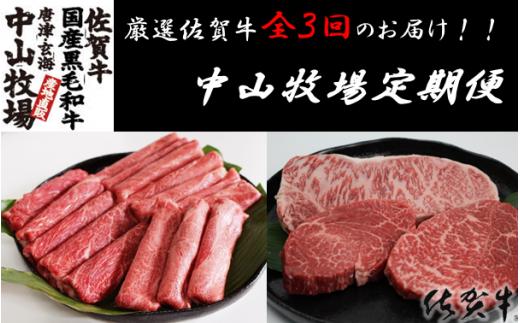 【定期便3回】中山牧場定期便 ／ 佐賀牛 ハンバーグ サーロイン ロース 霜降り 赤身 ステーキ スライス 薄切り すき焼き しゃぶしゃぶ 焼肉 黒毛和牛 牛肉 肉 定期便 セット A5 A4 冷凍 国産 佐賀県 玄海町