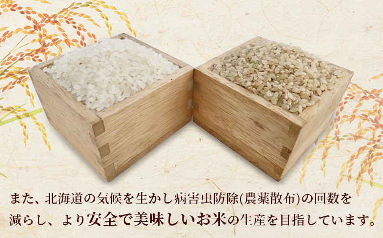 《先行予約》【新米】北海道恵庭産ななつぼし 20kg（玄米）