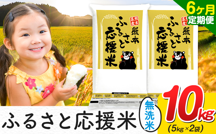 【6ヶ月定期便】米 無洗米 家庭用 熊本 ふるさと応援 定期便 米 10kg《お申込み翌月から出荷》 熊本県産 白米 精米 山江村 ブレンド米 国産 おうちご飯 返礼品 発送 配送 SDGs わけあり むせんまい お米 おこめ