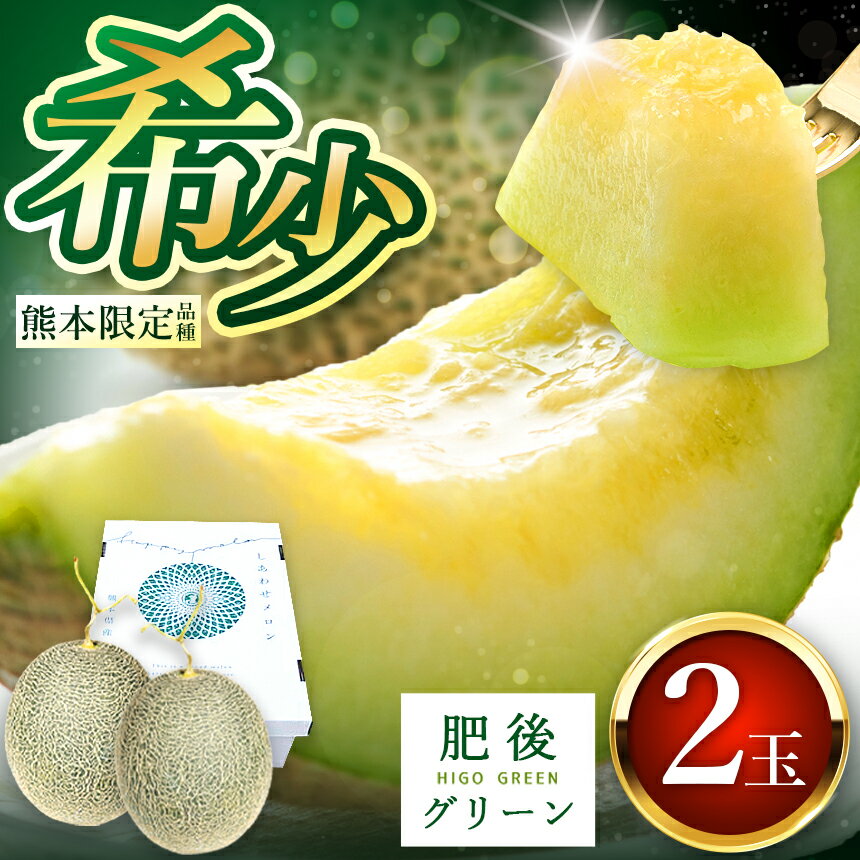 【ふるさと納税】メロン「 肥後グリーン 」2玉 果物 フルーツ 熊本県産 | 玉名 熊本