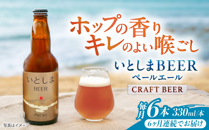
                  【全6回定期便】いとしまBEER (ペールエール) 330ml×6本 糸島市 / 蔵屋 クラフトビール [AUA051]
                