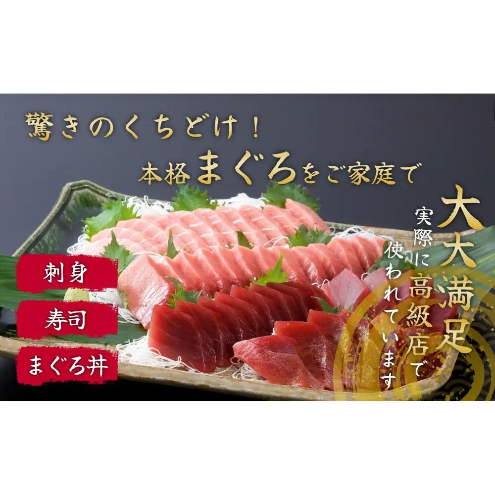 マグロづくし セット フィシュル ! 赤身 5枚 中トロ 3枚 大トロ 2枚 各50g×3P 詰め合わせ 刺身 お刺身 海鮮 魚 魚介 海の幸 おつくり 本マグロ 鮪 海鮮セット 海鮮丼 国産 九州 