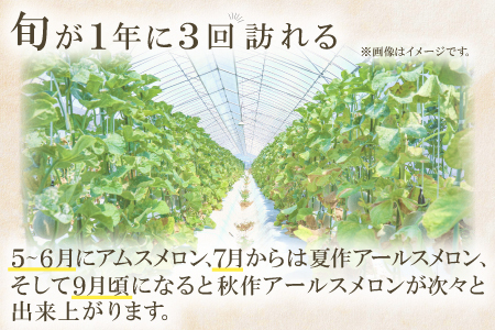 A-928 益田産アールスメロン 秋作 2玉