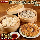 【ふるさと納税】餃子菜館 餃子60個&大粒しゅうまい 2種類×各15個 合計90個 セット 餃子 ぎょうざ 焼売 しゅうまい シュウマイ 海鮮焼売 海鮮しゅうまい 肉焼売 肉しゅうまい 大粒 皮から 手作り餃子 ボリューム たっぷり 冷凍 国産 九州産 福岡県産 大刀洗町 送料無料