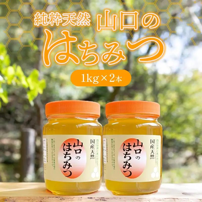 純粋天然 山口のはちみつ1kg 2本