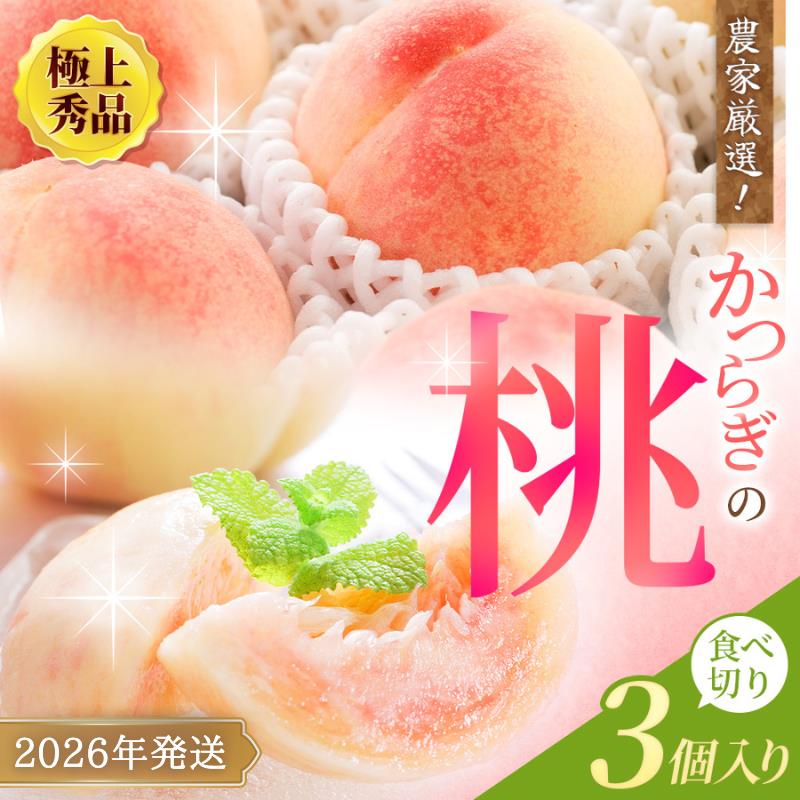 【ふるさと納税】 ☆極上秀品☆ 桃 食べきりやすい3個入 【2026年6月末から7月末順次発送】こだわり農家厳選 桃 もも モモ 果物 くだもの フルーツ 先行予約 人気 和歌山の桃 贈答 贈り物 プレゼント 数量限定 お取り寄せ かつらぎ町 くしがきの里 送料無料【KG1】
