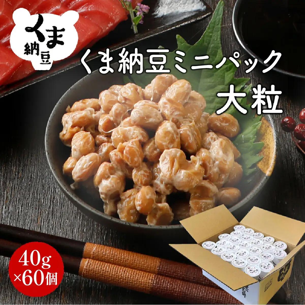 北海道くま納豆ミニカップ 大粒 60個 《順次発送》 国産 なっとう ナットウ 高級 大豆 厳選 老舗 栄養 発酵 ふるさと納税 北海道 登別市