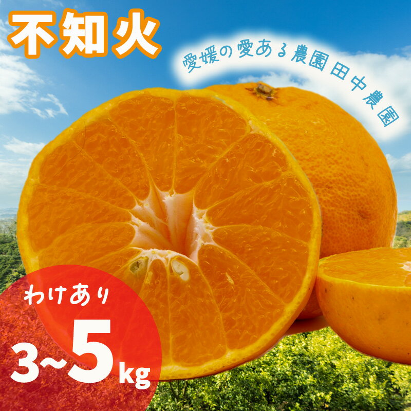 【ふるさと納税】 【2027年2月下旬頃から順次発送】不知火 しらぬい 約 3 / 5kg 訳あり でこぽんと同品種 柑橘類 フルーツ 柑橘類 果物 フルーツ みかん シラヌイ 人気 おすすめ 愛媛 松山 田中農園