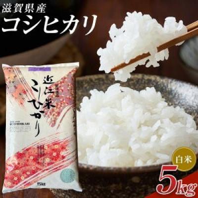 ふるさと納税 甲賀市 【令和7年産】近江米コシヒカリ白米5kg