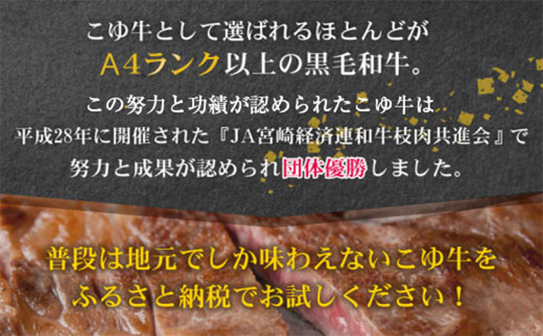 こゆ牛プレミアム定期便＜全6回＞ 1年間 宮崎黒毛和牛 偶数月配送※2025年2月開始 宮崎県産ブランド牛  A4等級以上 黒毛和牛 シャトーブリアン 希少部位を含む和牛6品【F42-25】