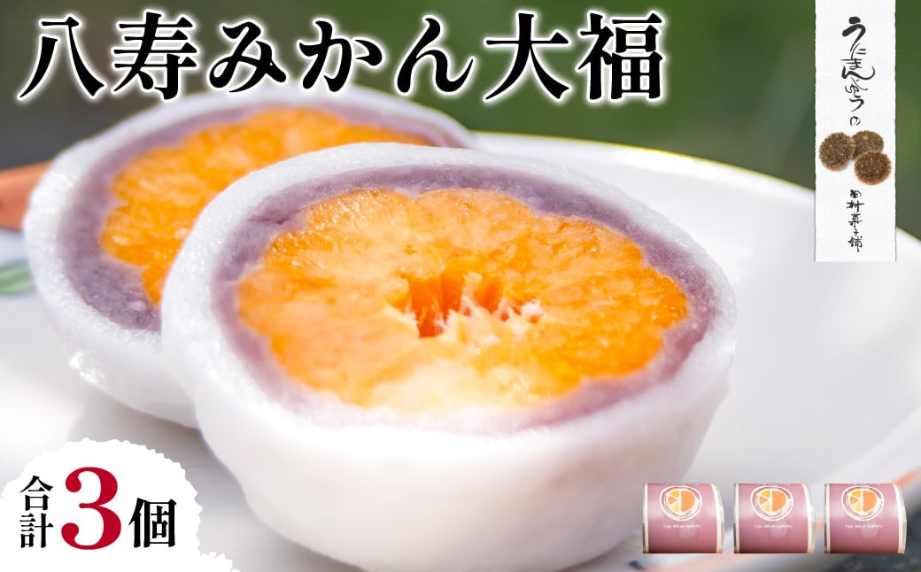 
            八寿みかん大福3個セット【 ふるさと納税 人気 おすすめ ランキング 大福 みっちゃん大福 温州みかん お土産 セット 八樹みかん 詰合せ 贈答 贈り物 ギフト 田村菓子舗 愛媛県 伊方町 送料無料 】 IKTK005
          