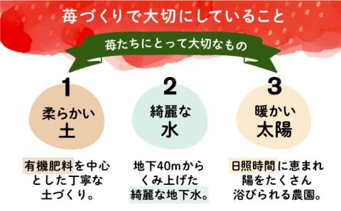 先行予約【2025年1月下旬～3月下旬発送】ココロファーム の 濃厚あまおう 285g × 2P 約570g 《豊前市》[VAE007] ※北海道・沖縄・離島 配送不可