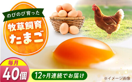 【全12回定期便】天心山 たまご 40個（10個入り×4パック）[BABW032] たまご