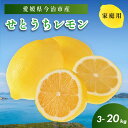 【ふるさと納税】せとうちレモン 今治産 安心 安全 国産 愛媛 瀬戸内レモン 健康 生搾り レモンサワー 送料無料 産地直送 レモン 檸檬 直送 産直 選べるキロ数＜3kg／5kg／20kg＞家庭用【K002320】