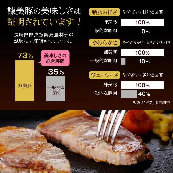 諫美豚ロースステーキ100g×8  AHAD045 豚ロース