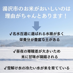 【米農家直送】特Aランク厳選秋田県産あきたこまち【玄米20kg】[C52-2301]