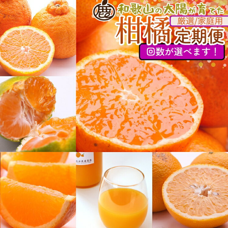 【ふるさと納税】【定期便】＼選べる回数／柑橘定期便 S※北海道・沖縄・離島への配送不可