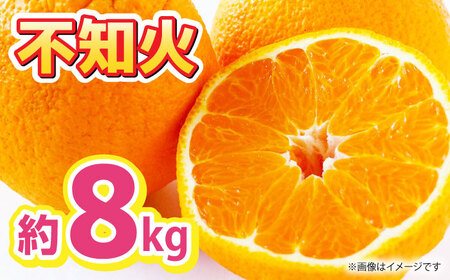 【先行予約】不知火 約8kg 【くまふる】　[ZBG011]