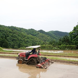 棚田米5kg 玄米 コシヒカリ 特別栽培米 7割削減 京都産