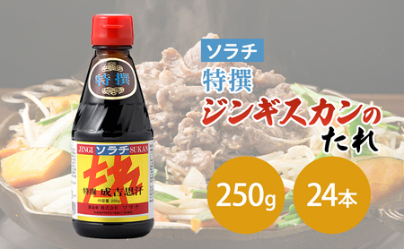 【大量 24本】 ソラチ 特撰ジンギスカンのたれ 250g 24本 たれ タレ 成吉思汗 ジンギスカン まとめ買い 大量
