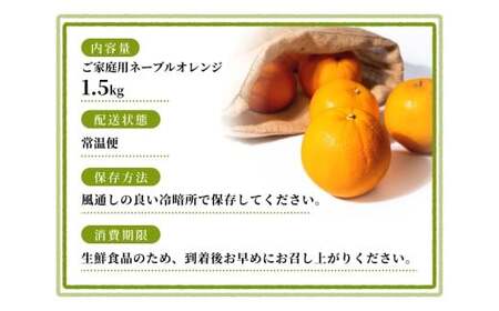 【ご家庭用】手選別 ネーブルオレンジ 約1.5kg 和歌山県産 2S~2Lサイズ混合※2026年1月上旬～2月中旬頃に順次発送【mrmt016】