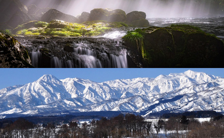 【先行予約　10月中旬より順次出荷】令和7年産　上越産こしひかり『和泉』10kg 6回定期便 上越市 精米 米 ギフト 喜ばれる