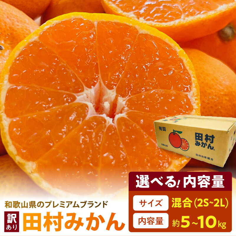 【ふるさと納税】【限定】 【2026年先行予約】 田村みかん 選べる 容量 サイズ 約5kg ～ 約10kg 2S ～ 2L サイズ混合 みかん ご家庭用 訳あり 不揃い 和歌山プレミアムブランドみかん 小玉 中玉 大玉 フルーツ 果物 和歌山 湯浅町 送料無料