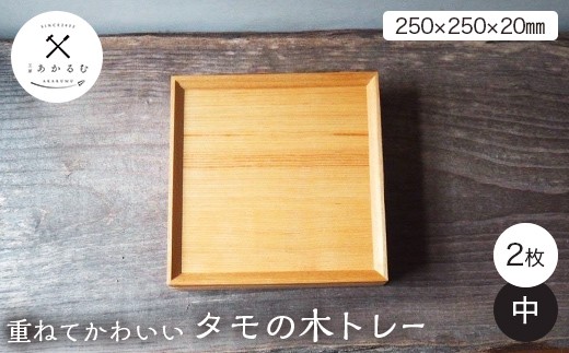 
                  重ねてかわいい タモの木トレー 中 2枚入り FAG-0183
                