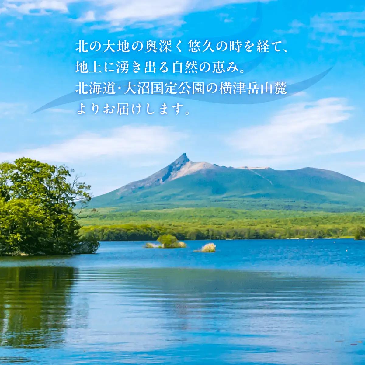 高評価★4.8 ミネラルウォーター夢水氣（290ml×40本） 天然アルカリイオン水 NABI002