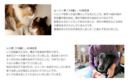 森のジビエ for PET 鹿肉 1kgセット ペットフード 犬 猫 A-JK-A15A