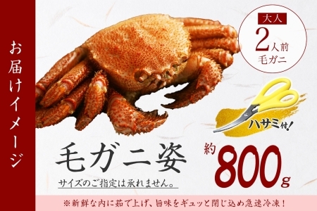 2101. ボイル毛蟹姿 800g 食べ方ガイド・専用ハサミ付 カニ かに 蟹 海鮮 送料無料 北海道 弟子屈町