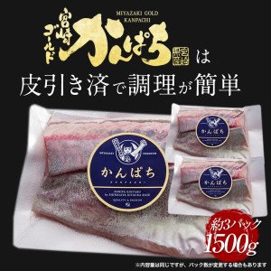 宮崎産 新海屋 鰤屋金太郎 宮崎ゴールドカンパチ 1500g　冷凍　N018-ZC112_2