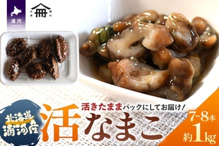 【先行受付開始！】北海道浦河産『活なまこ』1kg※不在日・日付指定対応不可※[06-1591]