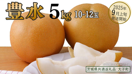 豊水 約5kg (10～12玉)【2025年9月上旬発送開始】(茨城県共通返礼品：大子町) 梨 なし 果物 くだもの フルーツ