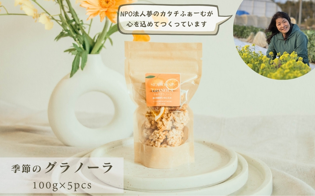 
            季節の果物や野菜を取り入れたグラノーラのセット 100g入り×5個
          