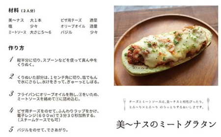 野菜 夏野菜 ナス なすび 美～ナス 12本 翡翠 茄子 朝どれ 産地直送 徳島県 阿波市