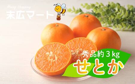 【2026年3月上旬ごろから発送予定】せとか 約 3kg (9~13玉) 【SHM0111】 せとか みかん せとか みかん せとか みかん せとか みかん せとか みかん せとか みかん せとか みかん せとか みかん せとか みかん