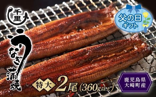 【父の日】鹿児島県産うなぎ　特大蒲焼き2尾　360g以上