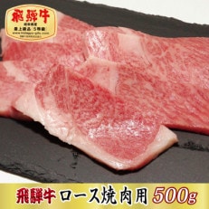 【最高級A5等級】飛騨牛ロース焼肉用500g(牛脂付き)