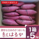 【ふるさと納税】濃厚な甘みさつまいも 紅はるか5kg（茨城県共通返礼品・行方市産）（AK001）