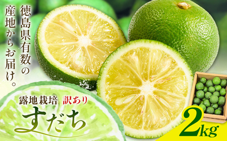 すだち 訳あり約2kg 一般財団法人さなごうち《9月中旬-11月上旬頃出荷》すだちすだちすだちすだち