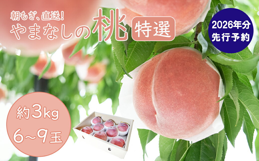 【ふるさと納税】【2026年発送分 先行予約】【朝採れももを直送！】【7月以降発送予定】【特選】フルーツ王国やまなし 小林農園の桃（6〜9個入り/3kg前後）桃 モモ もも ピーチ 3kg フルーツ 果物 山梨 富士川町 甘い 夢みずき 浅間白桃 なつっこ 川中島白桃 一宮水蜜 白秋